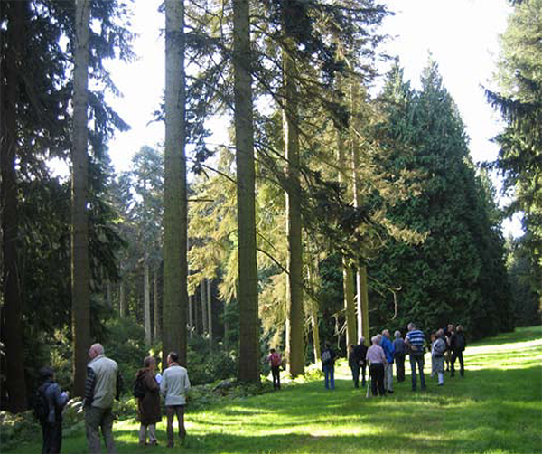 Geografisch Arboretum Tervuren