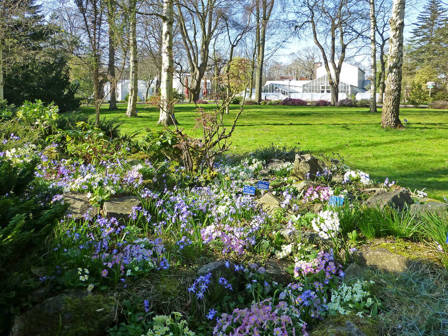 Botanische Tuin TU Delft Nederlandse Dendrologische Vereniging