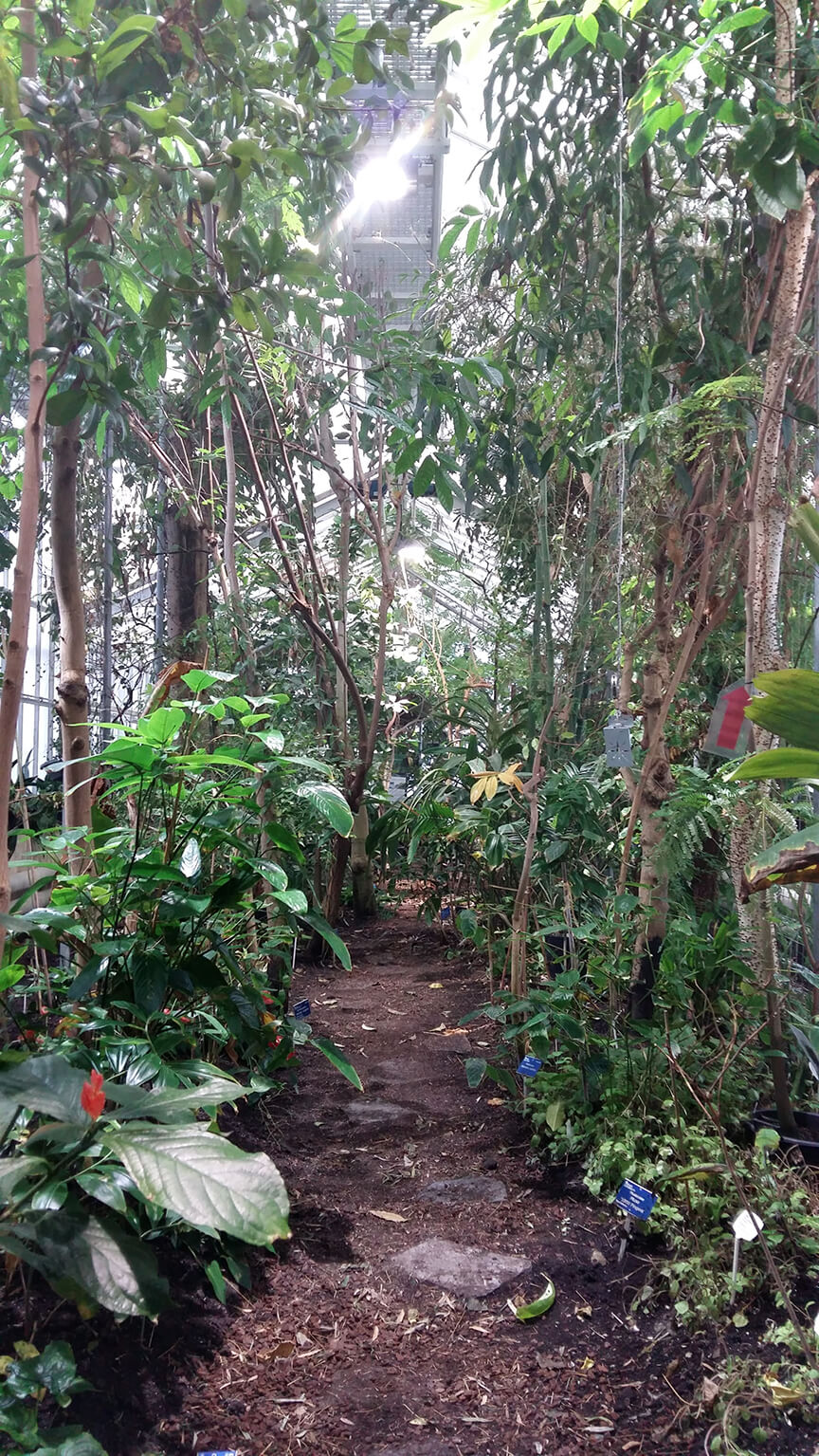 Botanische Tuin TU Delft Nederlandse Dendrologische Vereniging